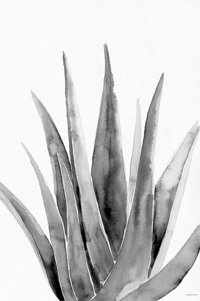 Black & White Florals: Organic Botanical II by Rachel Nieman