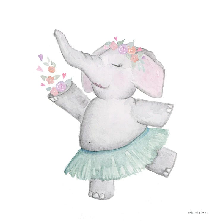 Elephant Ballerina