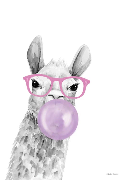 Bubble Gum Alpaca