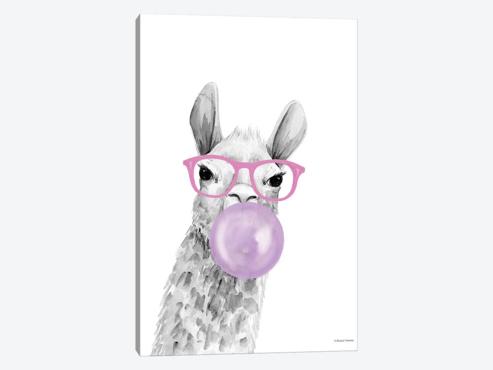 Bubble Gum Alpaca by Rachel Nieman 1-piece Canvas Art