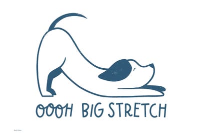 Rachel Nieman - Steelpix Metal Wall Art: Oooh Big Stretch by Rachel Nieman