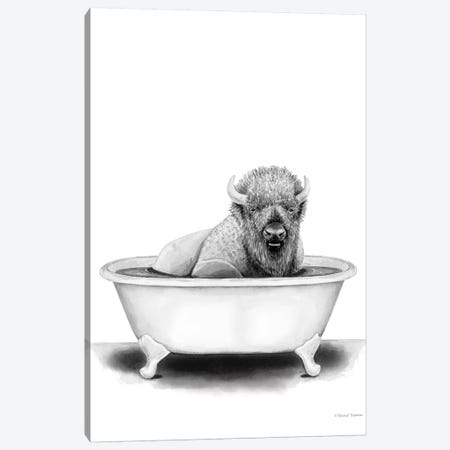 Bison in Tub Canvas Print #RNI34} by Rachel Nieman Art Print