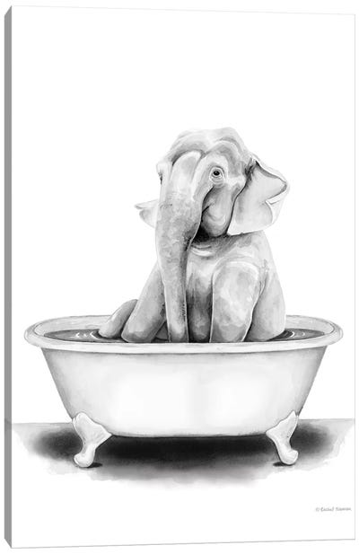 Elephant in Tub Canvas Art Print