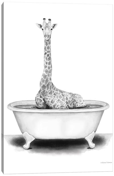 Giraffe in Tub Canvas Art Print
