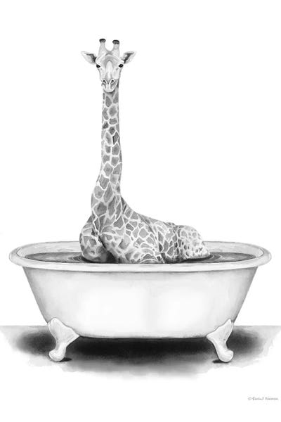Giraffes: Giraffe in Tub by Rachel Nieman