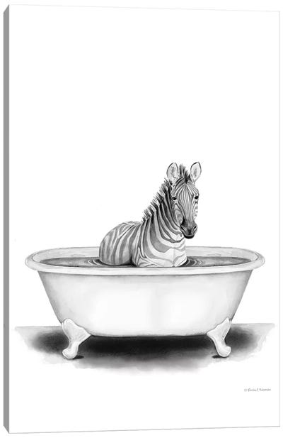 Zebra in Tub Canvas Art Print