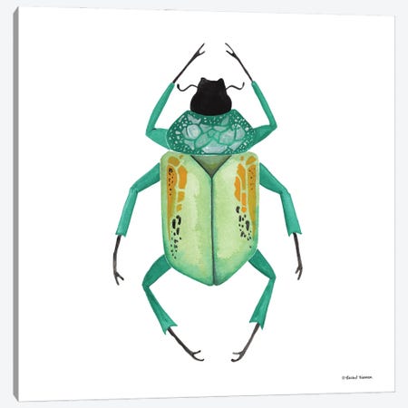 Naturally Wonderful Beetle Canvas Print #RNI70} by Rachel Nieman Canvas Wall Art