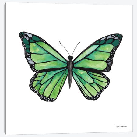 Naturally Wonderful Butterfly Canvas Print #RNI71} by Rachel Nieman Canvas Wall Art