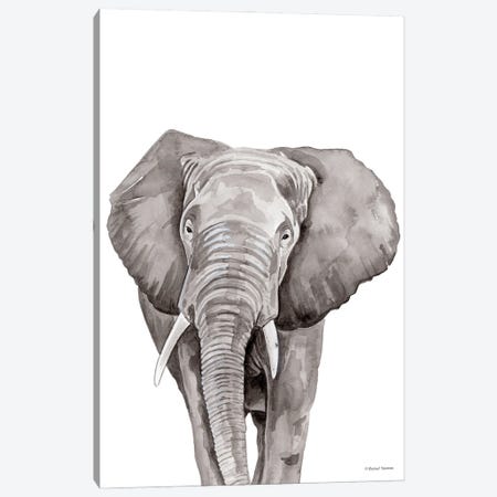 Safari Elephant Peek-A-Boo Canvas Print #RNI79} by Rachel Nieman Canvas Wall Art