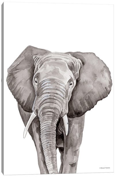 Safari Elephant Peek-A-Boo Canvas Art Print