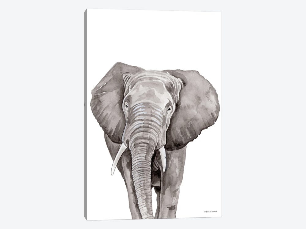 Safari Elephant Peek-A-Boo by Rachel Nieman 1-piece Canvas Artwork