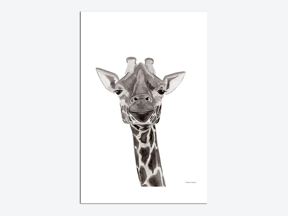 Safari Zebra Peek-A-Boo Gallery Wrapped Canvas