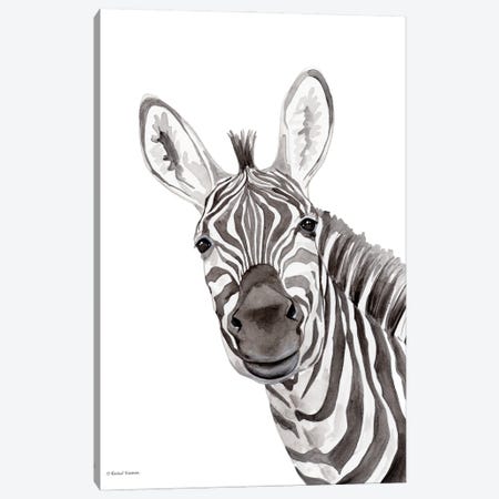Safari Zebra Peek-A-Boo Canvas Print #RNI81} by Rachel Nieman Canvas Print