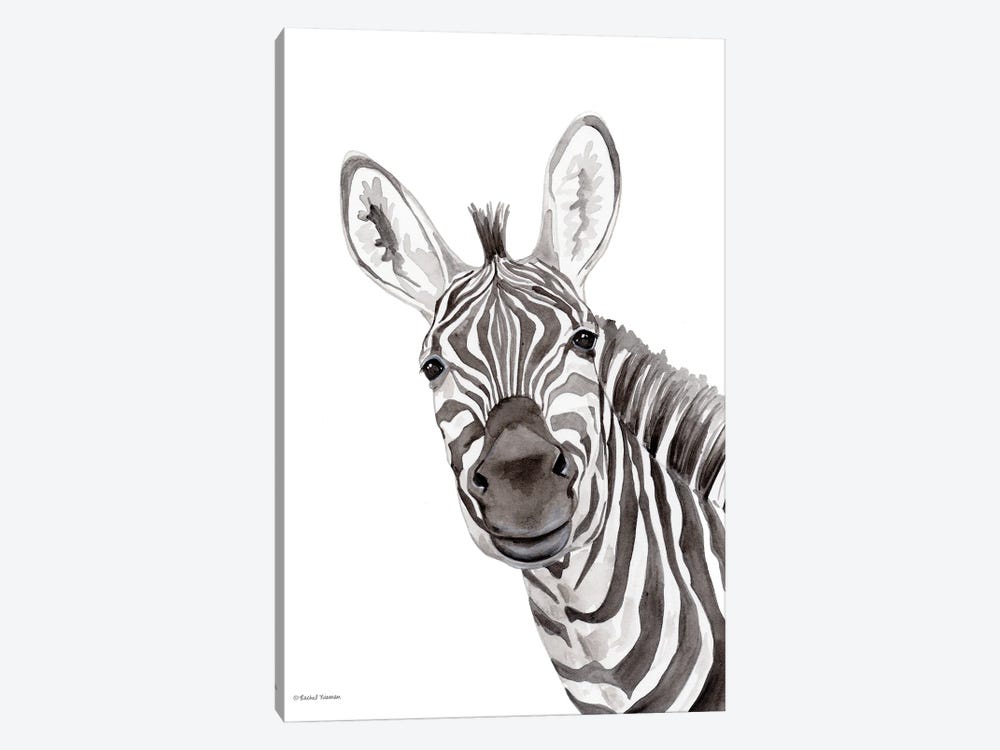 Safari Zebra Peek-A-Boo by Rachel Nieman 1-piece Art Print