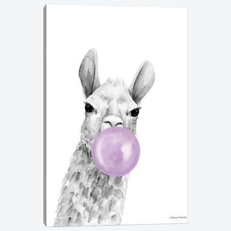Bubblegum Alpaca Canvas Print #RNI87} by Rachel Nieman Canvas Art