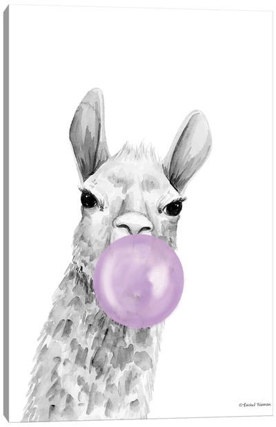 Bubblegum Alpaca Canvas Art Print