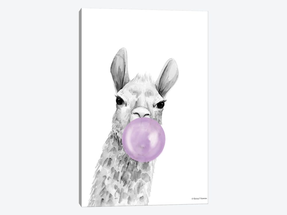 Bubblegum Alpaca by Rachel Nieman 1-piece Canvas Art Print