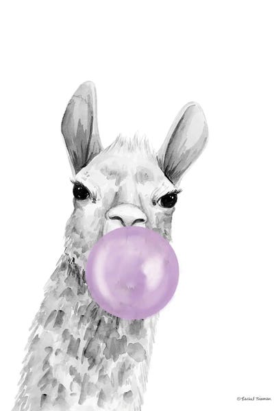 Alpacas: Bubblegum Alpaca by Rachel Nieman