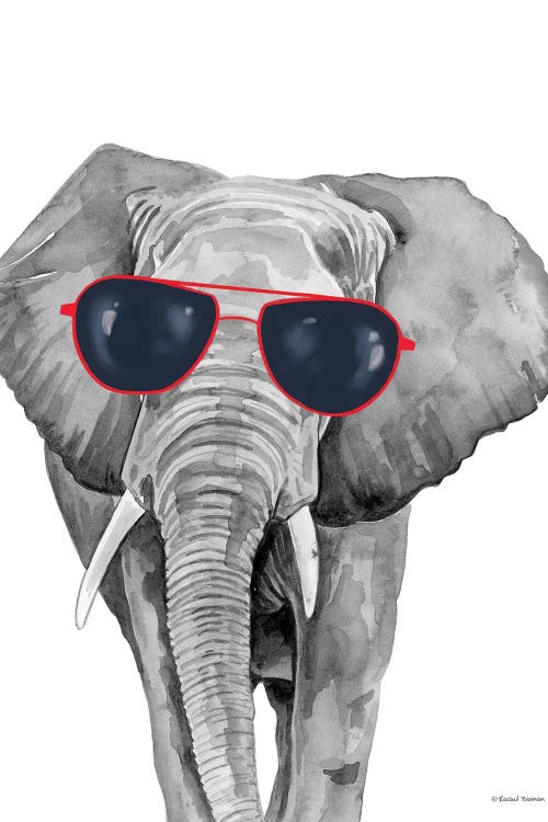 Looking Cool Elephant