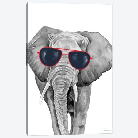 Looking Cool Elephant Canvas Print #RNI99} by Rachel Nieman Canvas Wall Art