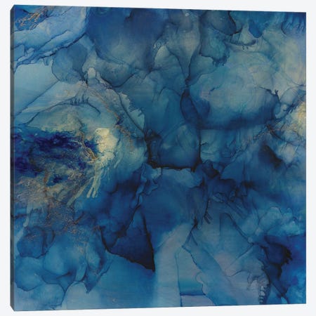 Blue Crystals Canvas Print #RNM114} by Melissa Renee Canvas Artwork