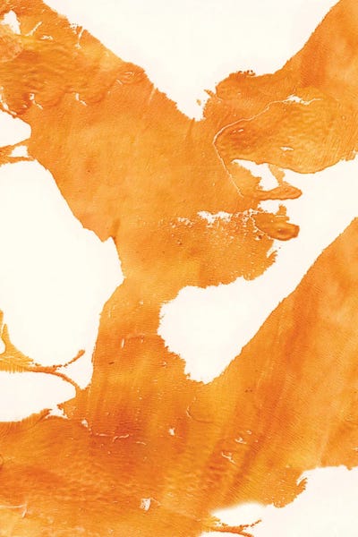 Melissa Renee: Marmalade by Melissa Renee