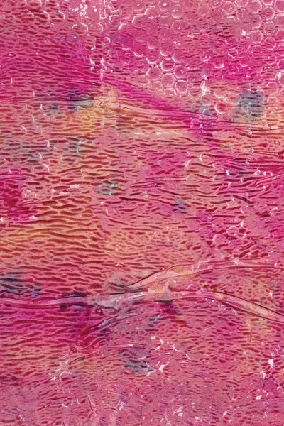 Melissa Renee - Steelpix Metal Wall Art: Waves Of M by Melissa Renee