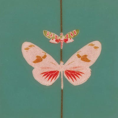 Melissa Renee - Steelpix Metal Wall Art: Garden Party VII by Melissa Renee