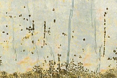 Melissa Renee - Steelpix Metal Wall Art: Foraging II by Melissa Renee