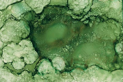 Green Pools by Melissa Renee framed canvas print