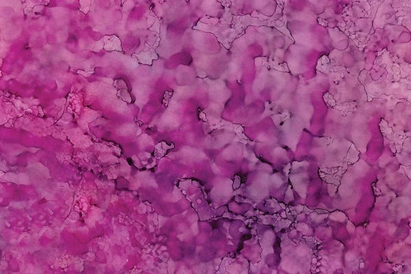 Melissa Renee: Blossoms by Melissa Renee