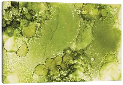 Moss Green Bubbles Canvas Art Print