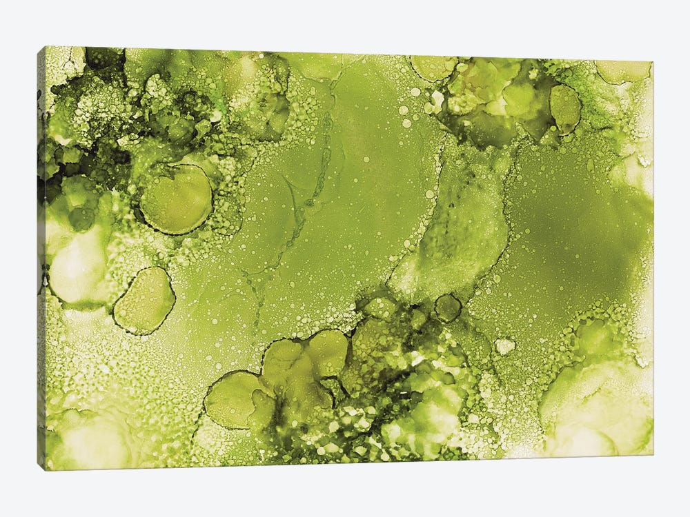 Moss Green Bubbles by Melissa Renee 1-piece Canvas Print