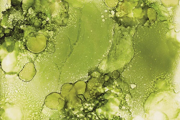 Moss Green Bubbles