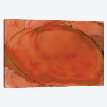 Coral Oval Canvas Print #RNM61} by Melissa Renee Canvas Art Print