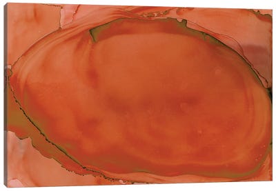 Coral Oval Canvas Art Print - Red Abstract Art