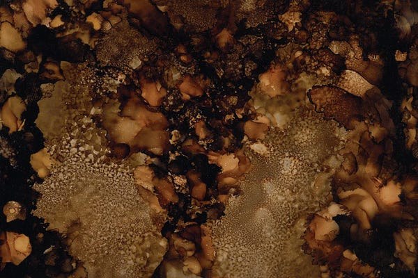 Melissa Renee: My Kind Of Latte by Melissa Renee