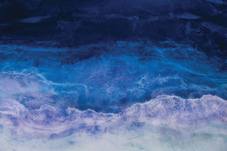 Shadows Of The Deep by Melissa Renee wall art