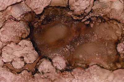 Sienna Pools by Melissa Renee framed wall art