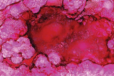 Pink Red Pools by Melissa Renee framed wall art