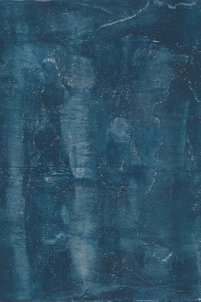 Melissa Renee: Denim Days V by Melissa Renee