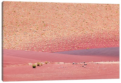 Fiery Red Sands Of California Desert I Canvas Art Print - Ben Renschen