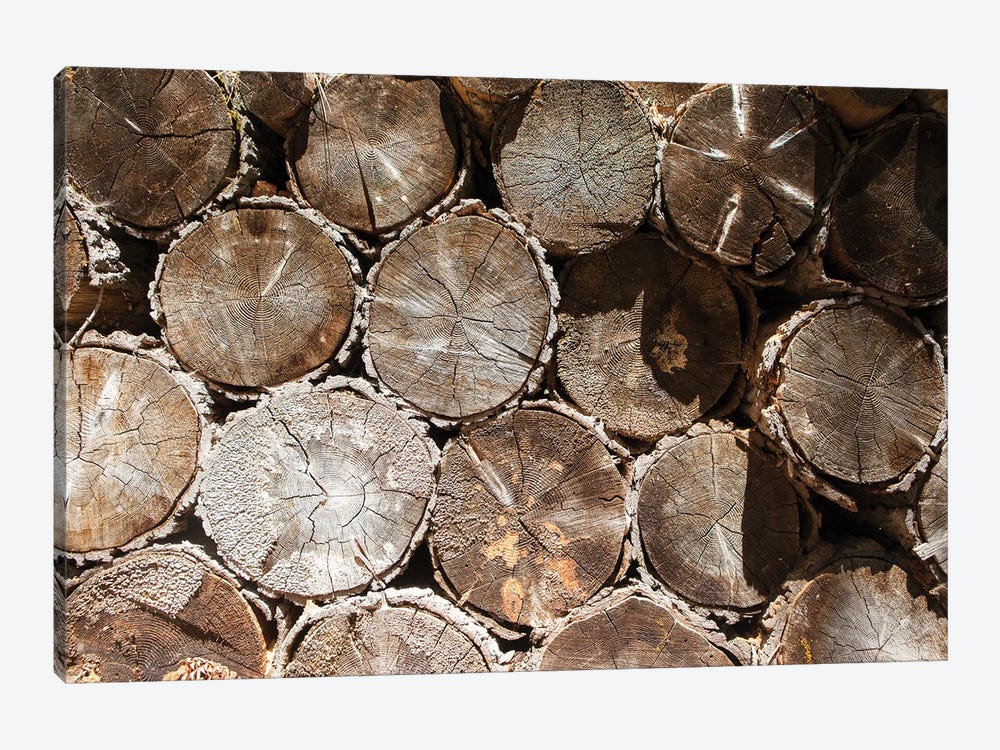Stacked Logs by Ben Renschen 1-piece Canvas Art Print