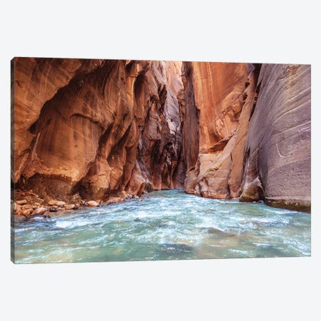 A River Runs Through Desert Canyon Walls Canvas Print #RNN27} by Ben Renschen Art Print