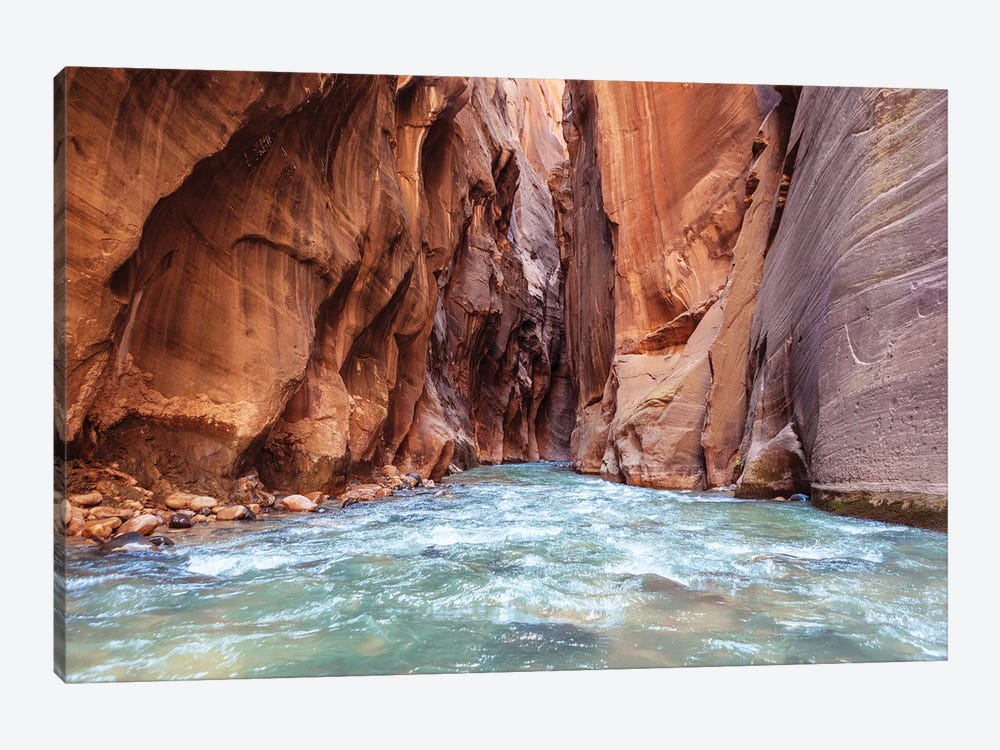 A River Runs Through Desert Canyon Walls by Ben Renschen 1-piece Canvas Artwork