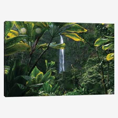 Lush Hawaiian Jungle Waterfall Canvas Print #RNN28} by Ben Renschen Canvas Art