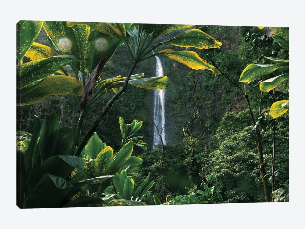 Lush Hawaiian Jungle Waterfall by Ben Renschen 1-piece Art Print