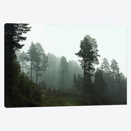 Foggy Forest Morning In Norway Canvas Print #RNN34} by Ben Renschen Canvas Wall Art