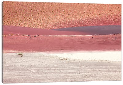Red Sands Of California Desert II Canvas Art Print - Ben Renschen