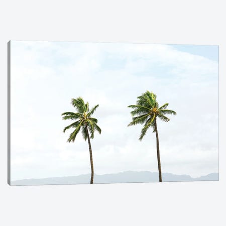Two Hawaiian Palm Trees Canvas Print #RNN39} by Ben Renschen Canvas Art Print